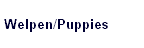 Welpen/Puppies